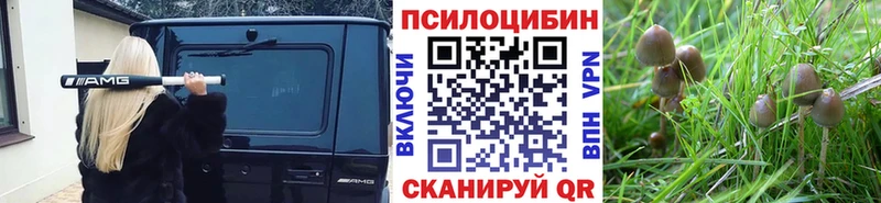 Галлюциногенные грибы мухоморы Черняховск