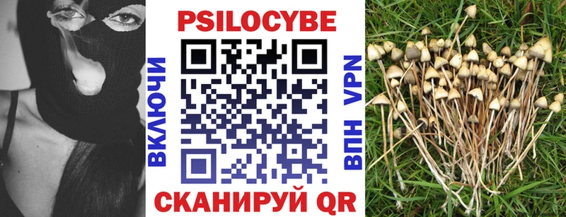 Псилоцибиновые грибы Psilocybine cubensis  Черняховск 