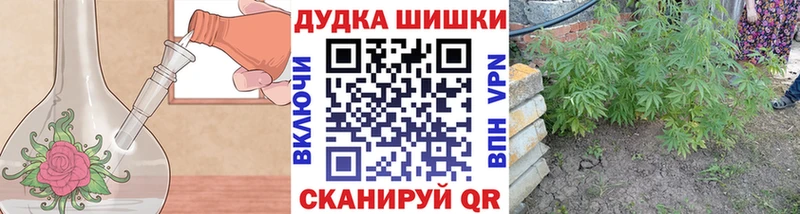 Бошки Шишки семена  Черняховск 